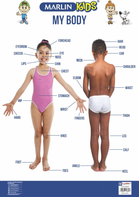 Marlin Kids Chart My Body