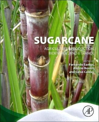 Sugarcane Agricultural Production Bioenergy and Ethanol
