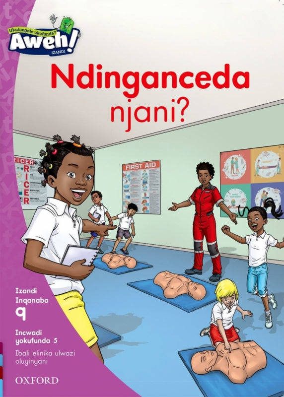 Ndinganceda Njani Isixhosa Reading Scheme Gr 3 (Reader 3 Phonics Non Fiction)