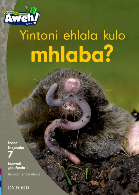 Yintoni Ehlala Kulo Mhlabathi Isixhosa Reading Scheme Gr 2 (Reader 11 Phonics Non Fiction)