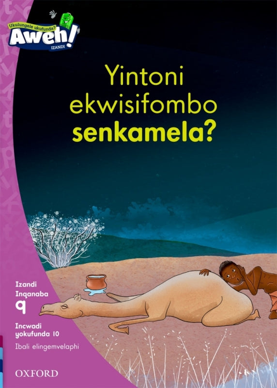 Isixhosa Reading Scheme Gr 3 (Reader 5) (Phonics Fiction)