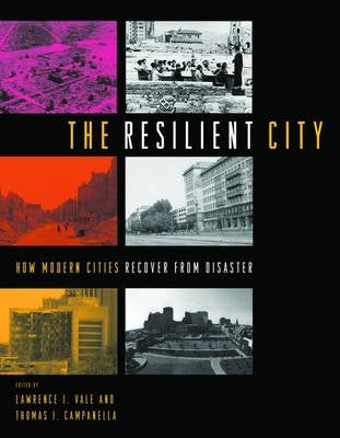 Resilient City How Modern Cities Recover From Disaster