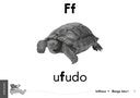 Hola Masifunde Gr 1 (Word Cards)