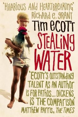 Stealing Water a Secret Life in an African City