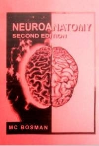 Neuroanatomy