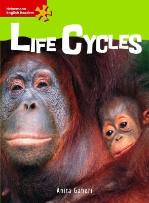 Life Cycles