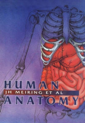 Human Anatomy