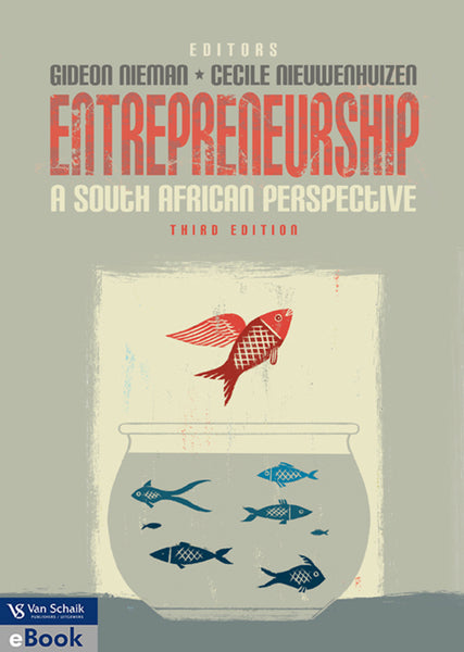 Entrepreneurship 3 a South African Perspective