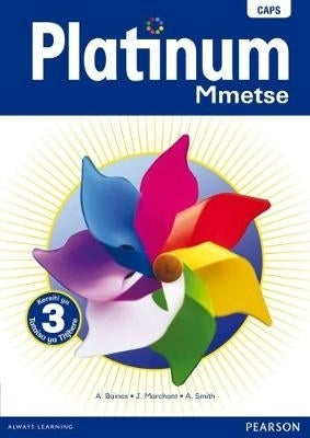 Platinum Mmetse Gr 3 (Teachers Guide)
