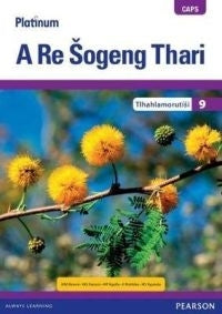 Platinum a Re Sogeng Thari Gr 9 (Teachers Guide) (Caps)