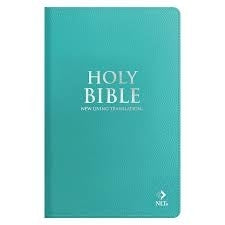 Nlt Aquamarine Genuine Leather Flexcover Standard Bible
