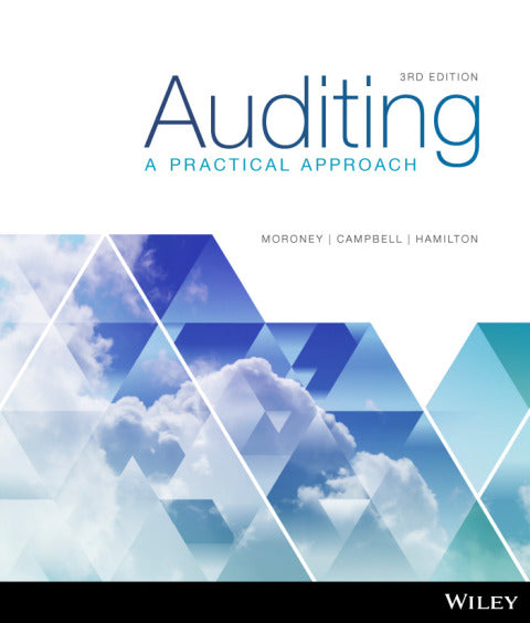 Auditing a Practical Approach