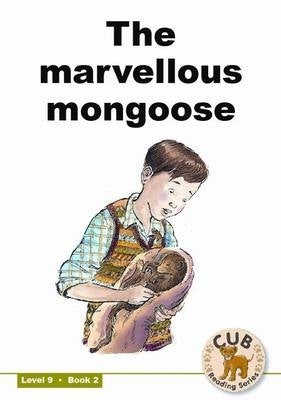 Marvellous (Level 9) (Book 2) (Reader)