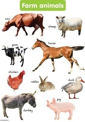 Chart Shuters Hand in Hand Gr R Farm Animals (A2)