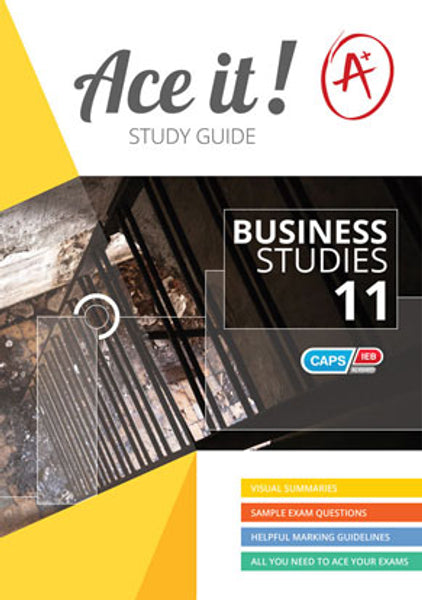 Ace It Business Studies Gr 11