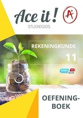 Ace It Accounting Gr 11 (Exercise Book) (Afrikaans)
