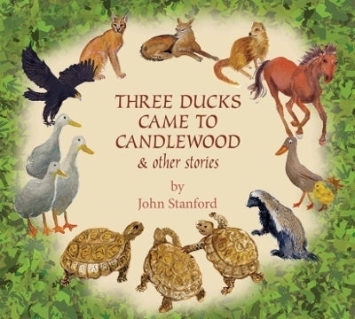 3 Ducks Came to Candlewood