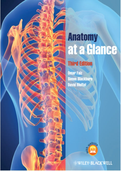 Anatomy at a Glance