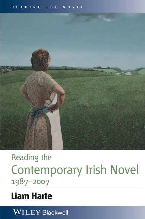 Reading the Contemporary Irish Novel 1987-2007