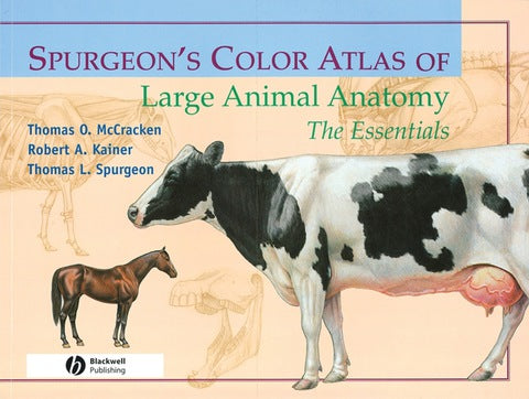 Spurgeons Colour Atlas of Large Animal Anatomy the Essentials
