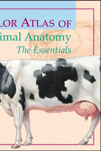 Spurgeons Color Atlas of Large Animal Anatomy