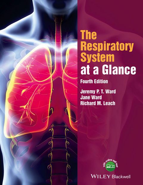 Respiratory System at a Glance