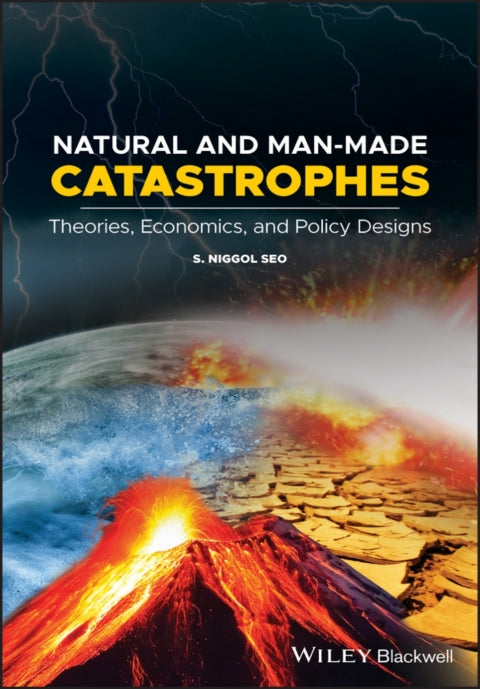 Natural and Man Made Catastrophes Theories Economics and Policy Designs