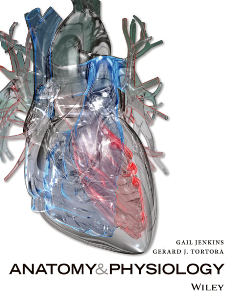 Anatomy and Physiology