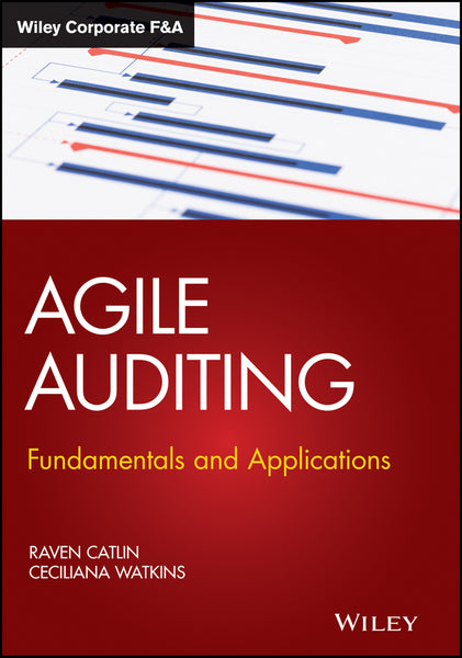 Agile Auditing