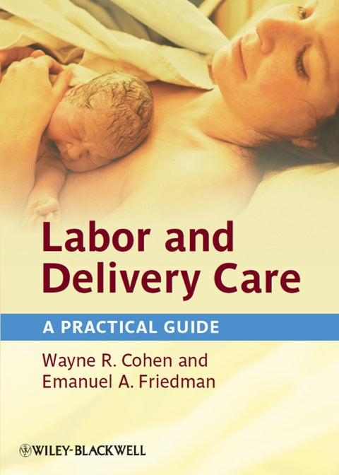 Labor and Delivery Care a Practical Guide