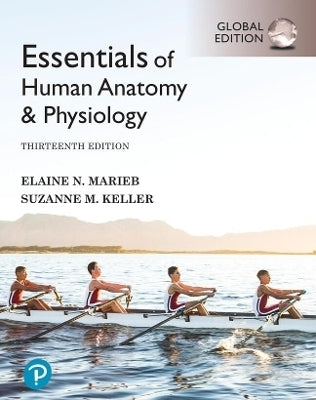 Essentials of Human Anatomy and Physiology (Global Edition)