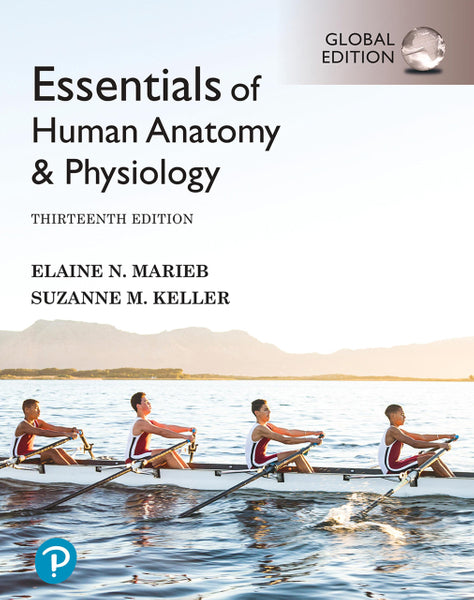 Essentials of Human Anatomy and Physiology Global Edition