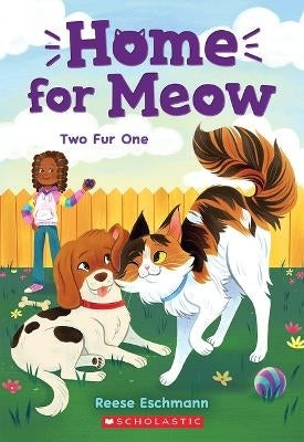2 Fur 1 Home for Meow 4