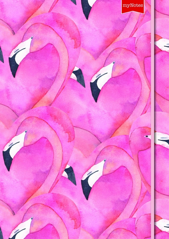 My Notes Flamingos