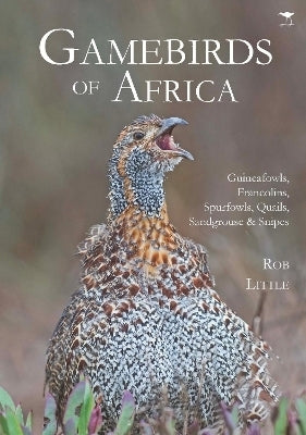 Gamebirds of Africa Guineafowls Francolins Spurfowls Quails Sandgrouse and Snipes