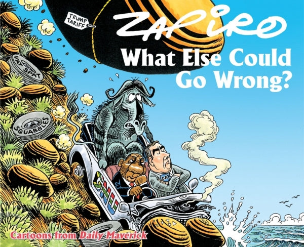 Zapiro Annual 2025 What Else Could Go Wrong