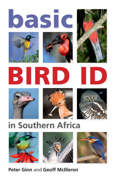 Basic Bird Id in Southern Africa