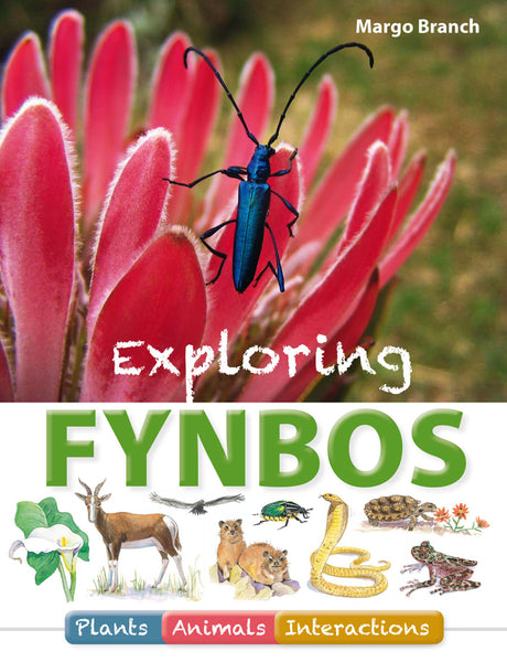 Exploring Fynbos Plants, Animals, Interactions
