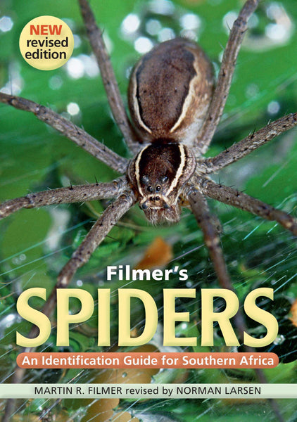 Filmers Spiders