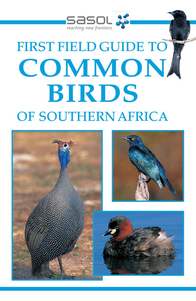 First Field Guide to Common Birds of Southern Africa