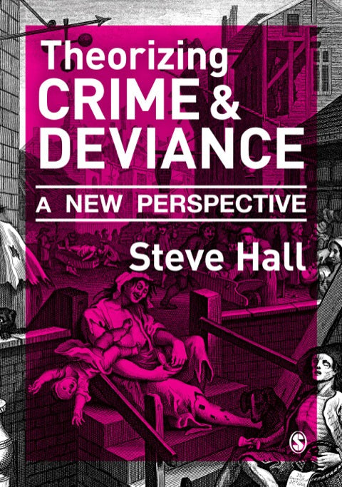 Theorizing Crime and Deviance a New Perspective