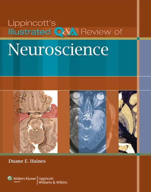 Lippincotts Illustrated Q and a Review of Neuroscience
