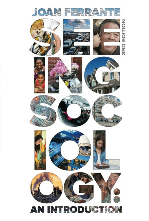 Seeing Sociology an Introduction