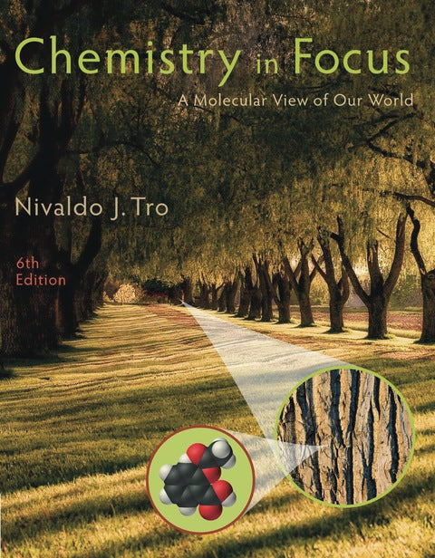 Chemistry in Focus a Molecular View of Our World