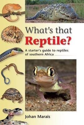 Whats That Reptile?