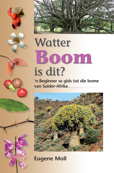 Watter Boom is Dit?