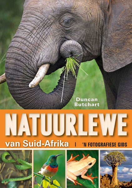 Natuurlewe Van Suid-Afrika N Fotografiese Gids