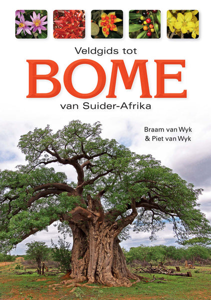 Veldgids Tot Bome Van Suider-Afrika