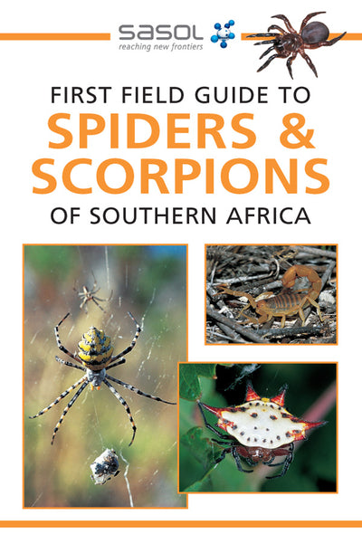First Field Guide to Spiders and Scorpions of Southern Africa