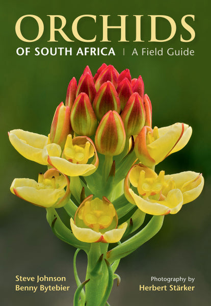 Orchids of SA